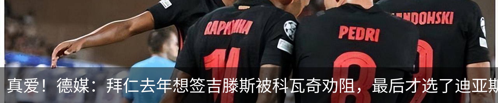 资讯动态